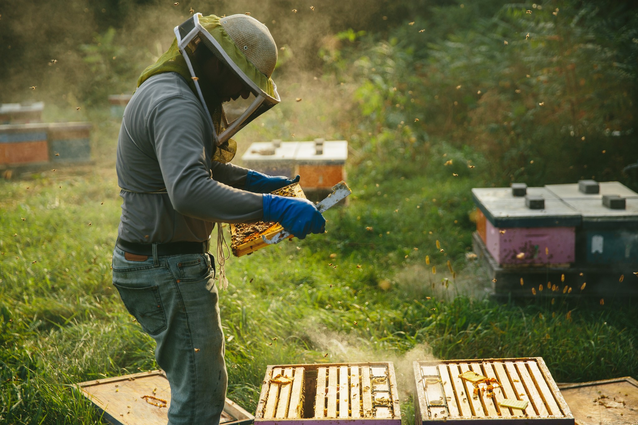 Blog | Nectar Technologies